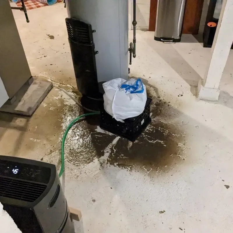 Sewage Backup Cleanup Service in Twin Lakes, NM